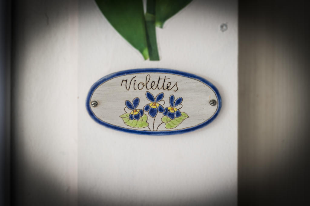 Mas Des Kardouons Bed & Breakfast Tourrettes-sur-Loup Cameră foto